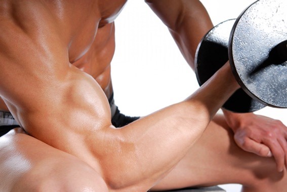 que proteínas comprar para ganar masa muscular